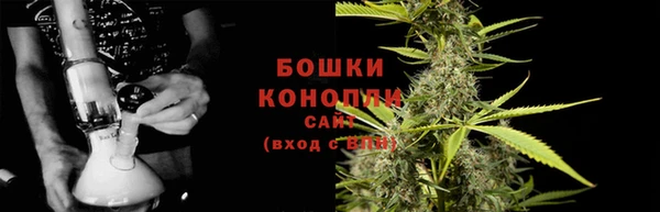 ECSTASY Богородск