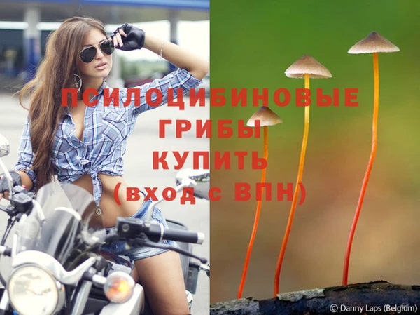 MESCALINE Богданович