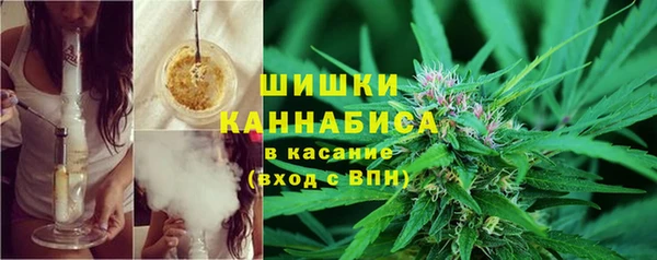 ECSTASY Богородск