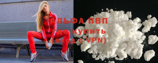 ешки Белокуриха